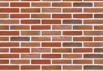Клинкерный состаренный кирпич Randers Tegl Classica RT 436, ECO-DNF 228X50X54 мм