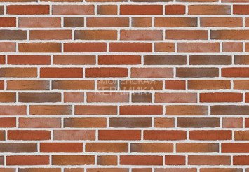Клинкерный состаренный кирпич Randers Tegl Classica RT 436, ECO-DNF 228X50X54 мм