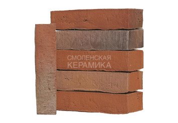 Клинкерный состаренный кирпич Randers Tegl Classica RT 436, ECO-DNF 228X50X54 мм