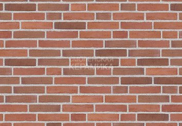 Клинкерный состаренный кирпич Randers Tegl Classica RT 448, ECO-DNF 228X50X54 мм
