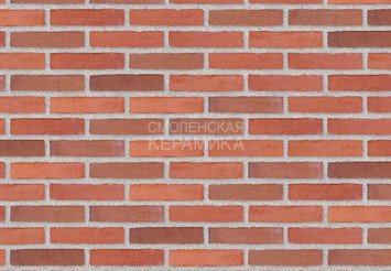 Клинкерный состаренный кирпич Randers Tegl Classica RT 448, ECO-DNF 228X50X54 мм