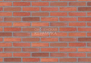 Клинкерный состаренный кирпич Randers Tegl Classica RT 448, ECO-DNF 228X50X54 мм
