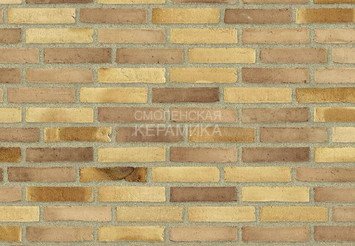Клинкерный состаренный кирпич Randers Tegl Fusion RT 570, DNF 228X108X54 мм