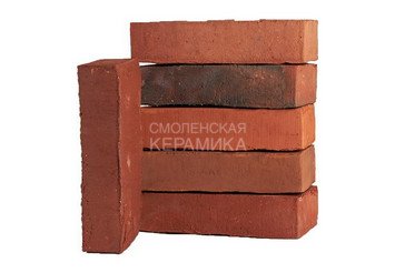 Клинкерный состаренный кирпич Randers Tegl Fusion RT 571, DNF 228X108X54 мм
