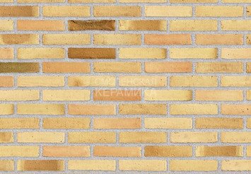 Клинкерный состаренный кирпич Randers Tegl Fusion RT 573, DNF 228X108X54 мм
