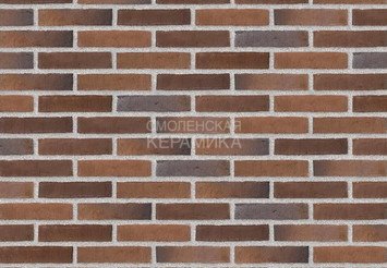 Клинкерный состаренный кирпич Randers Tegl Prima RT 434, ECO-DNF 228X50X54 мм