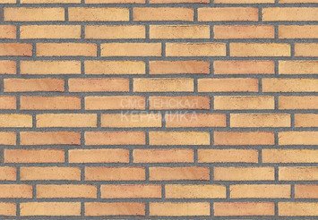Клинкерный состаренный кирпич Randers Tegl Prima RT 449, DNF 228X108X54 мм