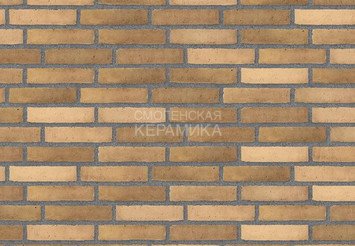 Клинкерный состаренный кирпич Randers Tegl Prima RT 495, DNF 228X108X54 мм