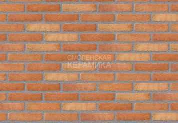 Клинкерный состаренный кирпич Randers Tegl Prima RT 499, DNF 228X108X54 мм