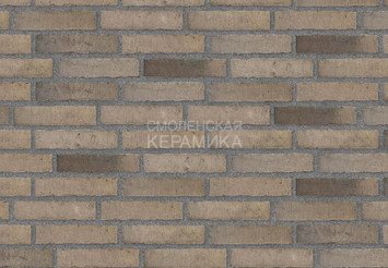 Клинкерный состаренный кирпич Randers Tegl Unika RT 517, ECO-DNF 228X50X54 мм