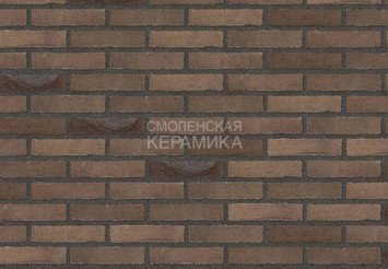 Клинкерный состаренный кирпич Randers Tegl Unika RT 531, DNF 228X108X54 мм
