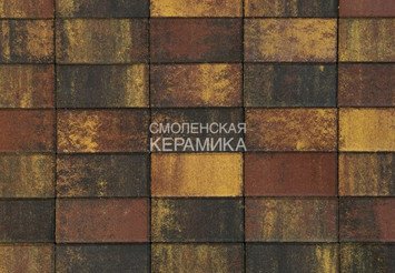 Тротуарная плитка BRAER Прямоугольник Color Mix Мальва, 60 мм