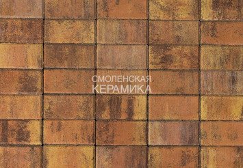Тротуарная плитка BRAER Прямоугольник Color Mix Прайд, 60 мм