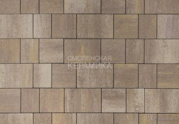 Тротуарная плитка BRAER Старый город "Венусбергер", Color Mix Степь 40 мм