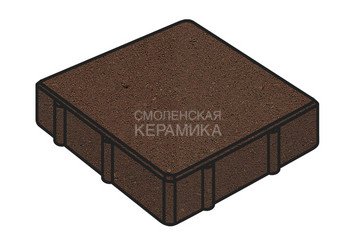 Тротуарная плитка Готика, "Квадрат Profi", 200x200x60 мм, коричневый