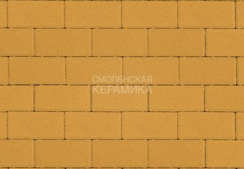 Тротуарная плитка STEINRUS Прямоугольник желтый, 40 мм
