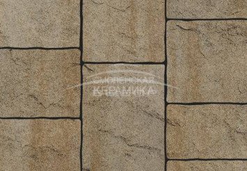 Тротуарная плитка Выбор "Антик", Искусственный камень Степняк, 60 мм