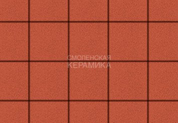 Тротуарная плитка Выбор "Квадрат" Стандарт, красный, 200х200х60 мм