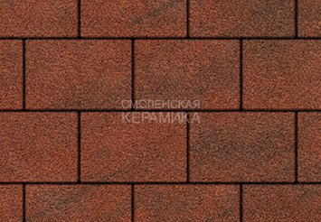 Тротуарная плитка Выбор "Прямоугольник" Листопад гранит, Хаски, 200х100х40 мм