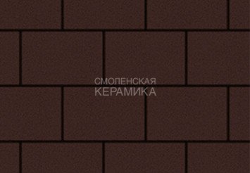 Тротуарная плитка Выбор "Прямоугольник" Стандарт, коричневый, 200х100х40 мм