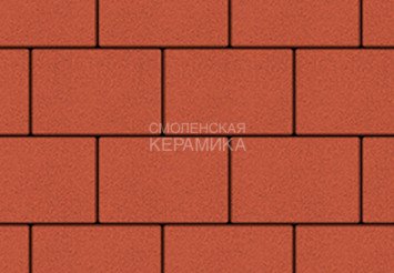 Тротуарная плитка Выбор "Прямоугольник" Стандарт, красный, 200х100х60 мм