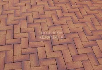 Тротуарный клинкер Feldhaus Klinker areno ferrum P249KF* 200x100x45