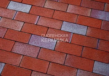 Тротуарный клинкер Feldhaus Klinker gala alea P405SKF 200x100x40