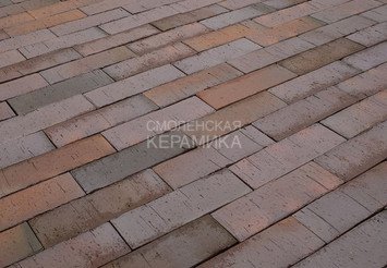 Тротуарный клинкер Пятый Элемент, Мюнхен, 250х80х52 мм