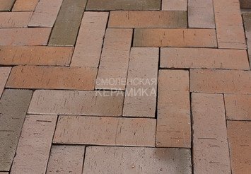 Тротуарный клинкер Пятый Элемент, Мюнхен, 250х80х52 мм