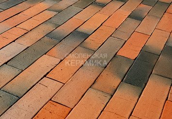 Тротуарный клинкер Пятый Элемент, Регенсбург, 250х80х52 мм