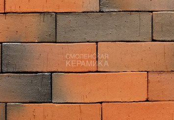 Тротуарный клинкер Пятый Элемент, Регенсбург, 250х80х52 мм